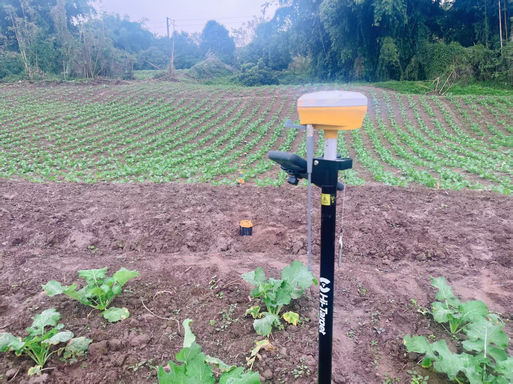 图6 微动数据采集.jpg